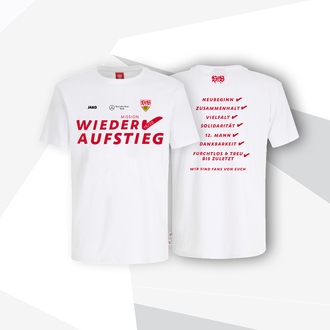 VfB T-Shirt Aufstieg 2020