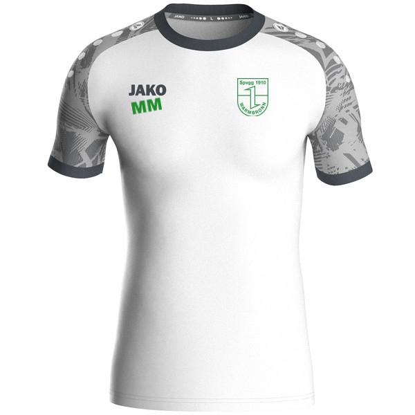 Trikot Iconic kurzarm 