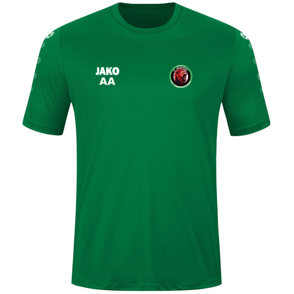 Maillot Team manches courtes 