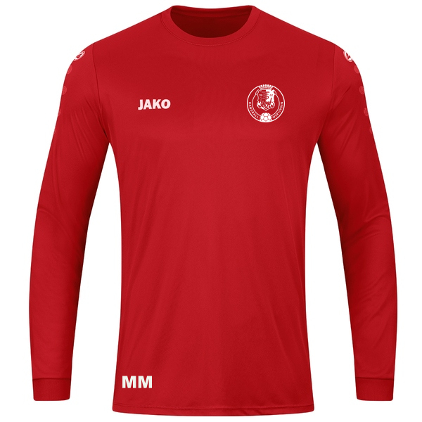 Trikot Team langarm 