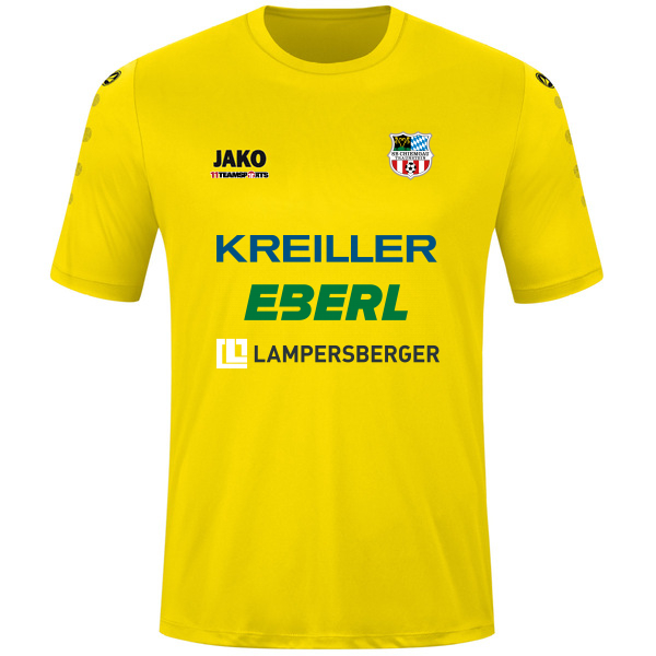 Trikot Team kurzarm 
