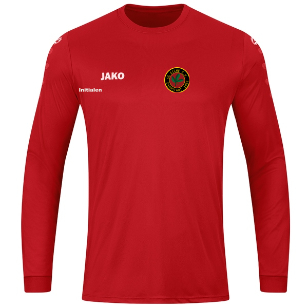 Trikot Team Langarm 
