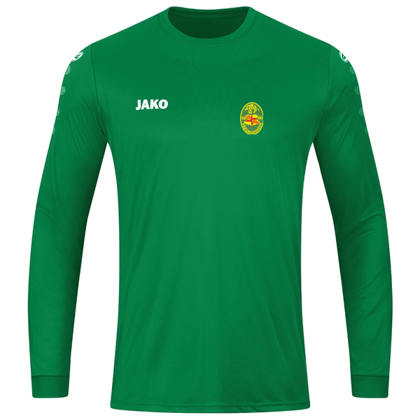 Trikot Team Langarm 
