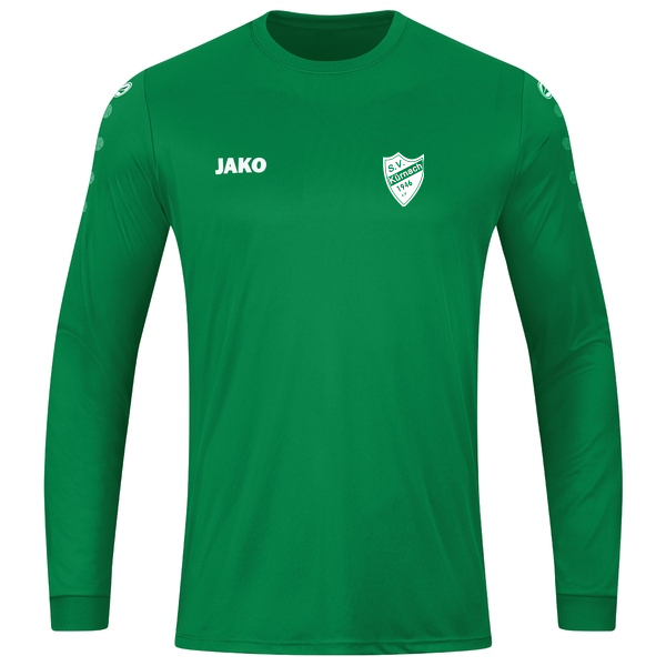 Trikot Team Langarm 
