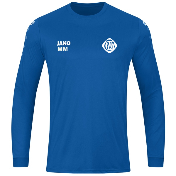 Trikot Team langarm 