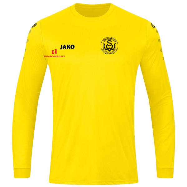 Trikot Team Langarm 