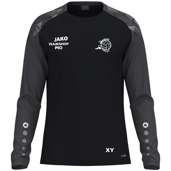Longsleeve Sonic 