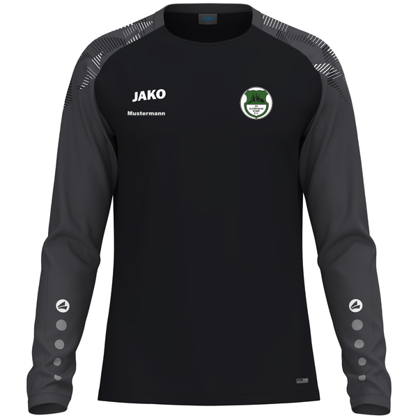 Longsleeve Sonic 