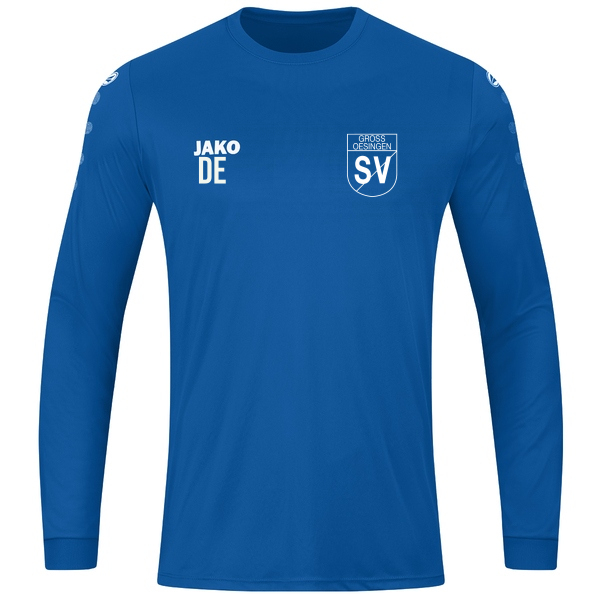 Trikot Team Langarm 