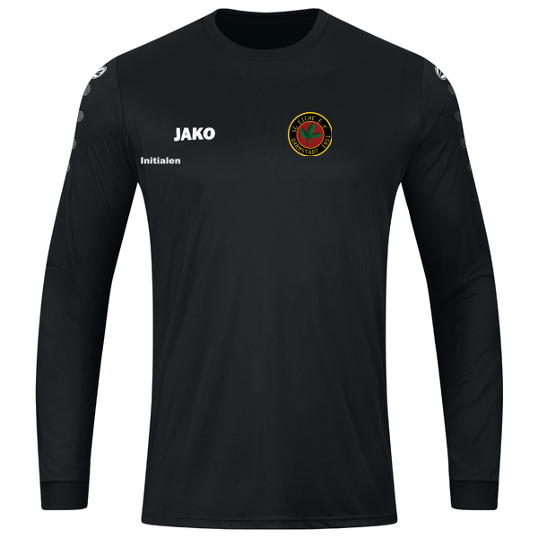 Trikot Team Langarm 