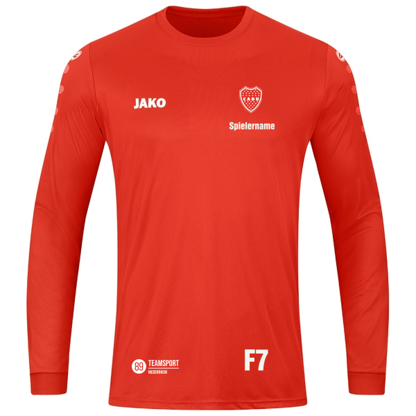 Trikot Team Langarm 