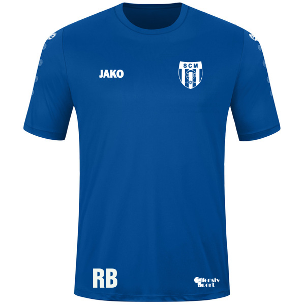 Trikot Team kurzarm 