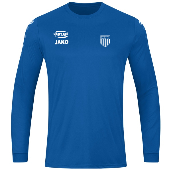 Trikot Team langarm 