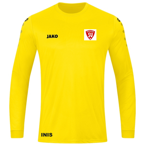 Trikot Team langarm 