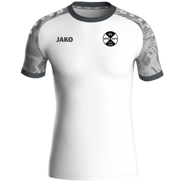 Trikot Iconic kurzarm 