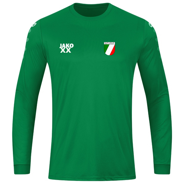 Trikot Team langarm 