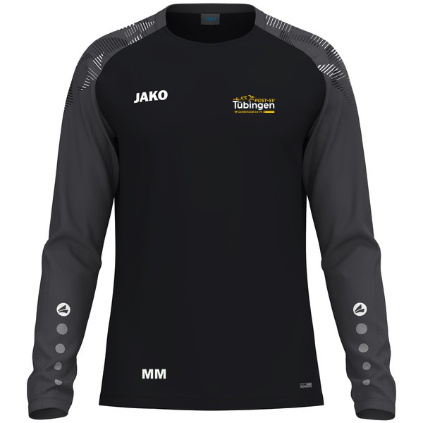 Longsleeve Sonic 
