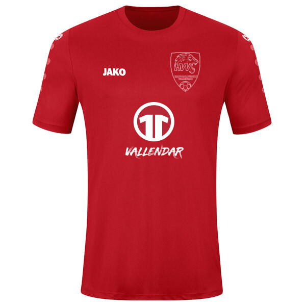 Trikot Team kurzarm 