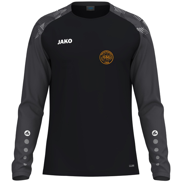 Longsleeve Sonic 