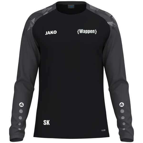 Longsleeve Sonic 