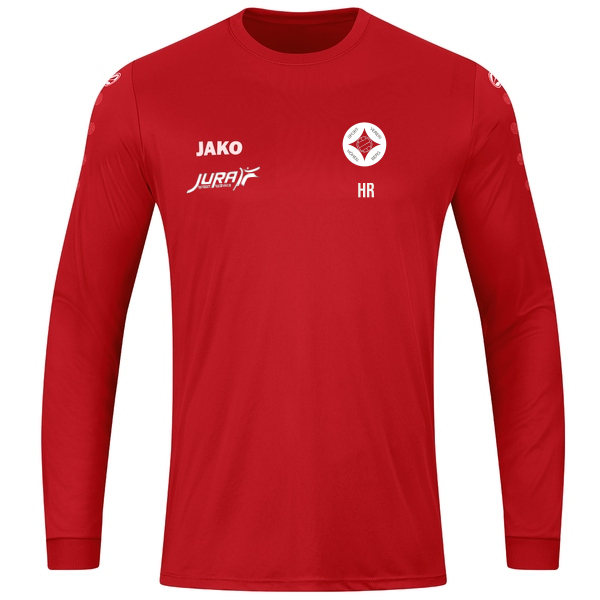 Trikot Team langarm 