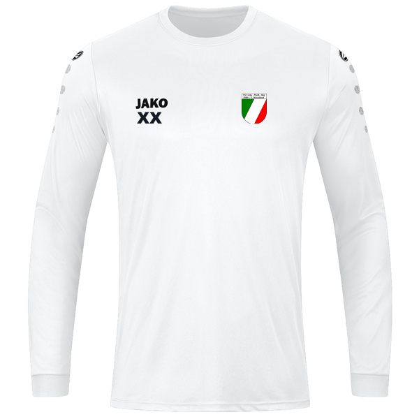 Trikot Team langarm 