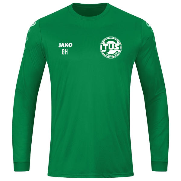 Trikot Team langarm 